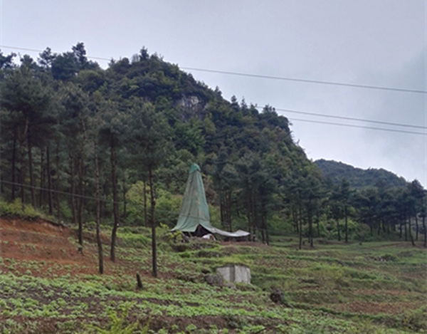 把脈“黔”鋅地，問診開良方