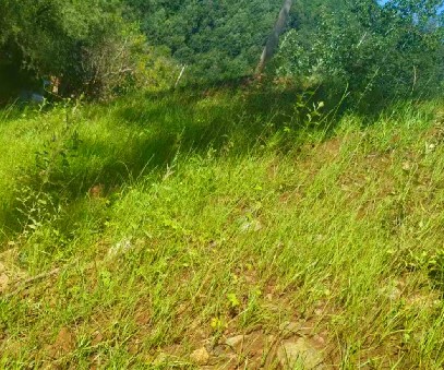 柳關(guān)欒盧鉛鋅礦|治理排土“瘡疤”，繪就綠色畫(huà)卷